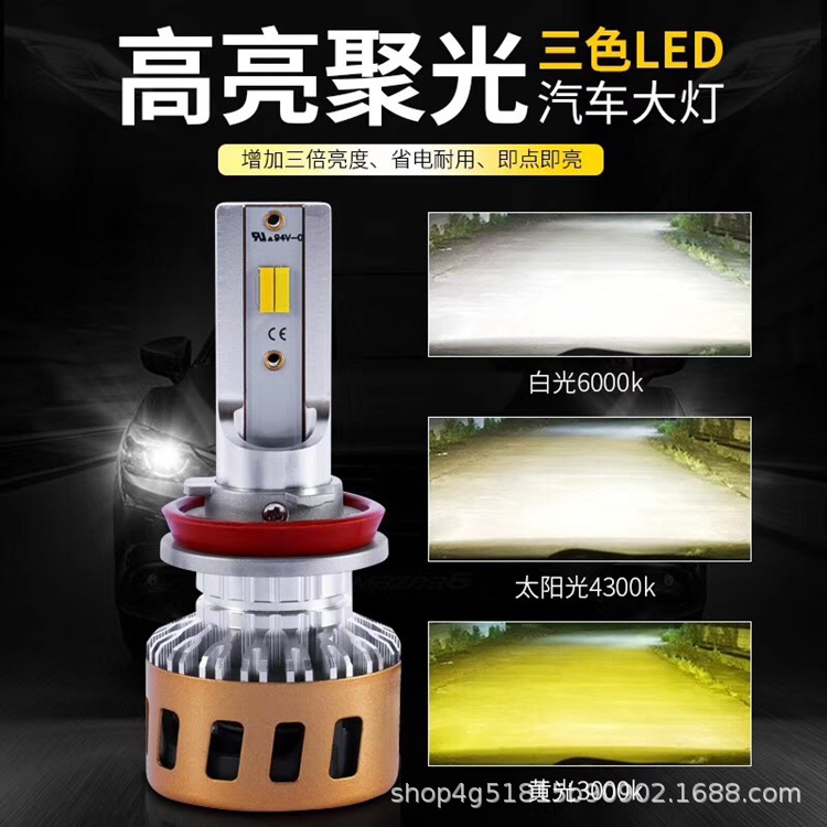 微信图片_20190911142440_副本